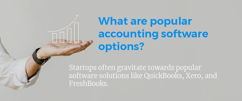 What are Popular Accounting Software Options?