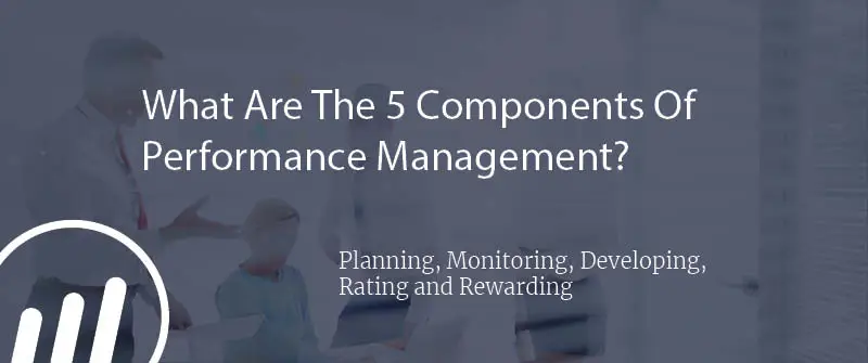 What Are The 5 Components And 5 Cs Of Performance Management?